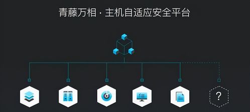 七年鑄劍，國產網絡安全軟件從零到一的破局之路